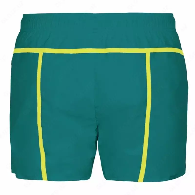  Шорты мужские пляжные Arena Pro file  XXL  green lake-soft green - 