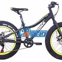 Детский велосипед Trinx T100 Green "20 колеса"