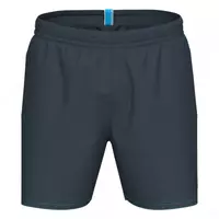 Шорты пляжные мужские Arena Bywayx r (серый) L