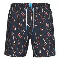 Шорты мужские пляжные Arena Water prints beach L