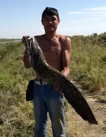 по запросу O‘zbekiston daryo va ko‘llarida baliq ovlash bo‘yicha qo‘llanma