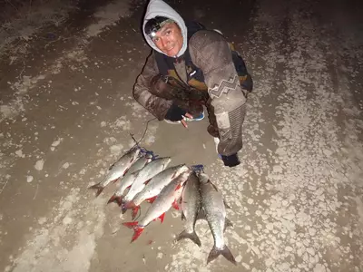 Рыболовный гид по рекам и озерам Узбекистана Только в розницу