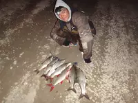 O‘zbekiston daryo va ko‘llarida baliq ovlash bo‘yicha qo‘llanma Chakana savdo