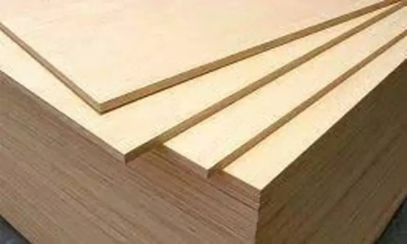 Fanera FK 10 (mm) 2S/ 4