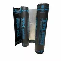 Гидроизоляция Туркменский TM membrana Sam TEXNO DAT