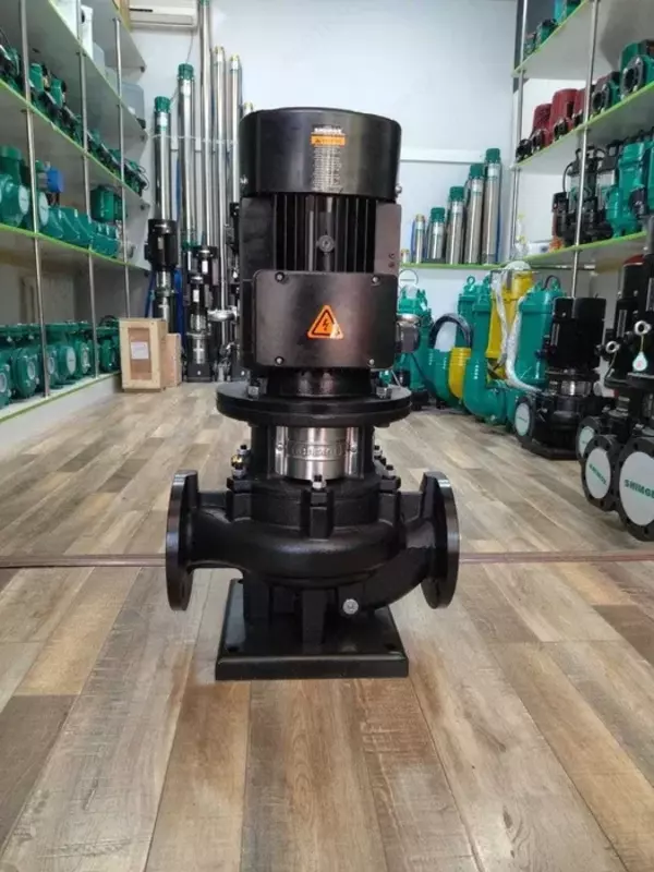 Насос циркуляционный TB65-19/2