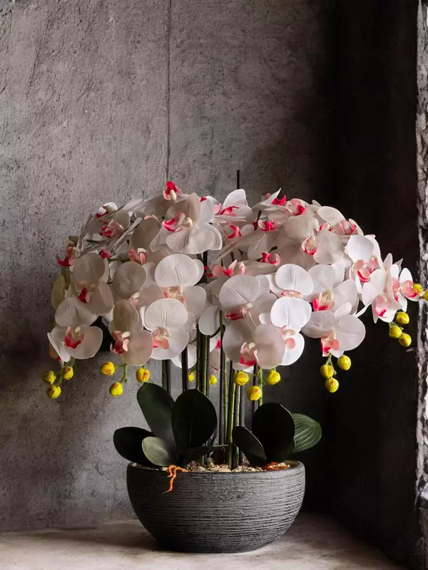 950 000 сум Компазиция Из Искуственных Орхидей 😍