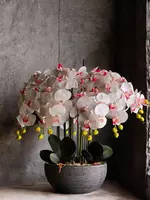 950 000 сум Компазиция Из Искуственных Орхидей 😍