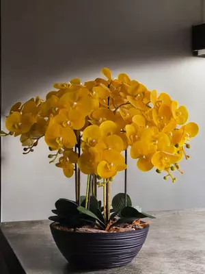 Компазиция Из Искуственных Орхидей 😍 Только в розницу