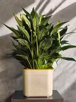 Женское Счастье 😘