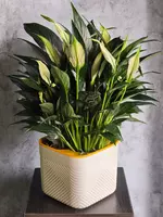 190 000 сум Женское Счастье 😘