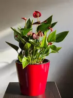 Мужское Счастье 🥰