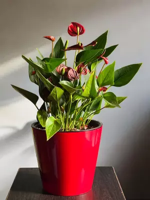 Мужское Счастье 🥰