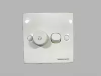 Denkriser модель: ES/811/250