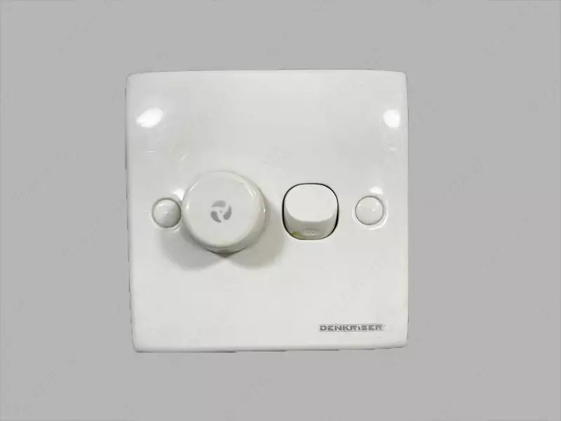 Denkriser модель: ES/811/250