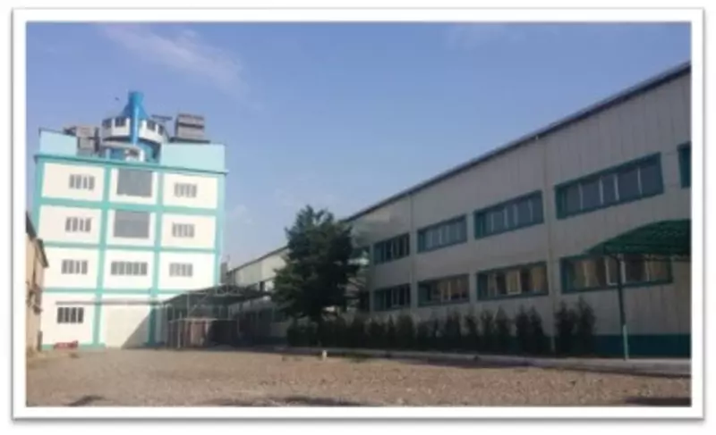 ООО "Asian Inter Impex"