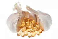 Sanvenkan sarimsoq yog'i kapsulasi USA 500 Chakana savdo