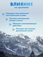 Mumiyo shifobaxsh - 100% tabiiy - 51 000 so'm