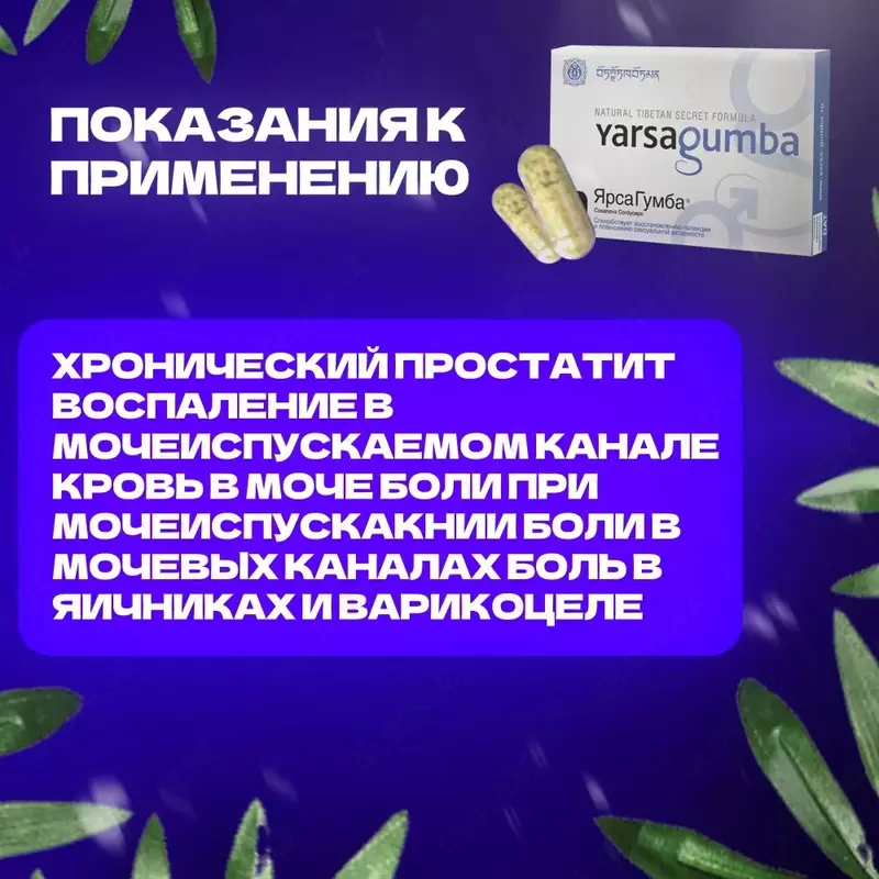 Yarsagumba для мужской потенции (ярсагумба форте)