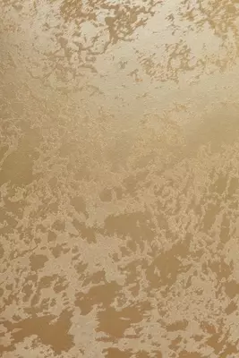 5 kg - Narx so&#039;rov asosida