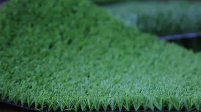 104 990 сум / кв.м Синтетический газон Lavanda