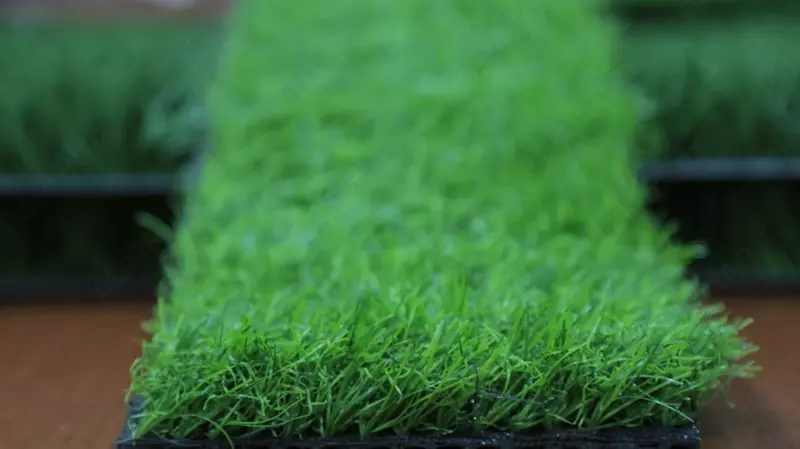 от {0} сум Синтетический газон Tropicana