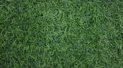 Синтетический газон Tropicana Оптом и розница