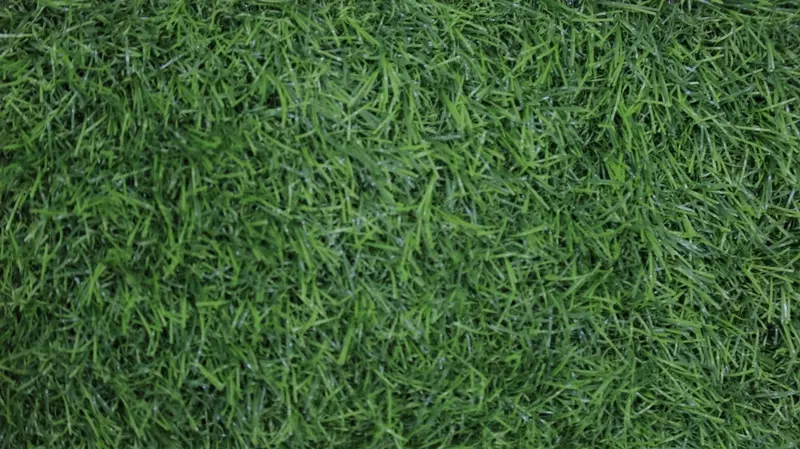 Синтетический газон Tropicana Оптом и розница