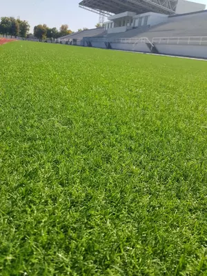 Синтетический газон Tropicana - 141 990 сум / кв.м