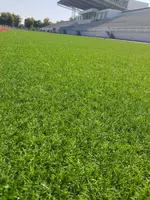 Синтетический газон Tropicana - от {0} сум