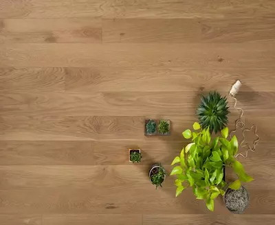 Трехслойная паркетная доска Coswick Сиена Натуральная