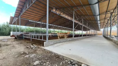 200 000 so'm / kv.m Naves temir mahsuloti