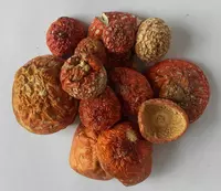 quritilgan chivinli agaric << Amanita Muscaria