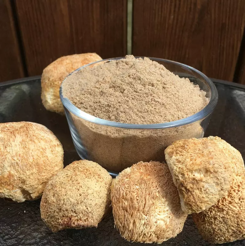 сушеный Гриб - Ежовик гребенчатый.