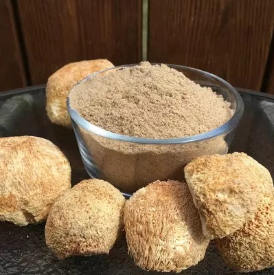 сушеный Гриб - Ежовик гребенчатый.