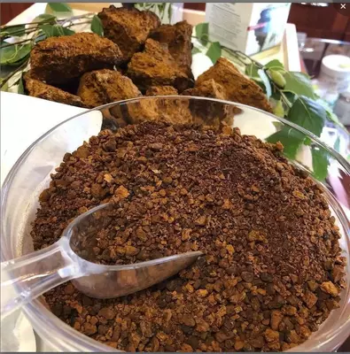 Сушеный Гриб - Чага берёзовая / Чай