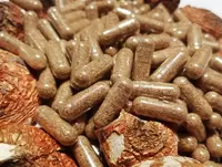 Мухомор красный