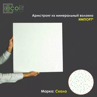 Ecolit Армстронг БАЙКАЛ