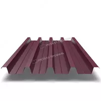  Professional varaq METAL PROFILI H-60x845-A (PE-01-3005-0 7) - 