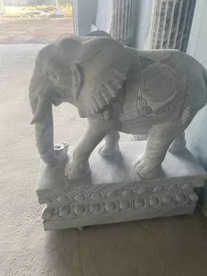 marmar hayvonlar - 5 942 519.6 so'm / dona