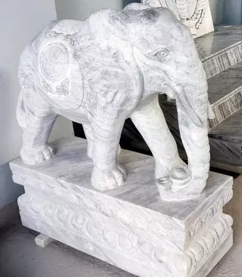 5 942 519.6 so'm / dona marmar hayvonlar