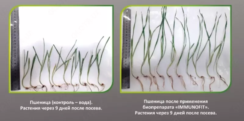 Минеральные удобрения - от {0} сум