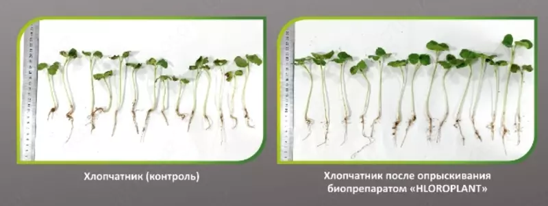от {0} сум Минеральные удобрения