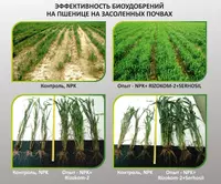 Минеральные удобрения Оптом и розница