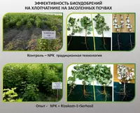 Минеральные удобрения ООО "GREEN BIOTECH"