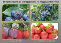 Минеральные удобрения - ООО "GREEN BIOTECH"