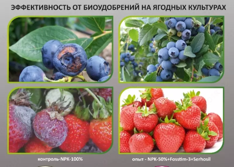 Минеральные удобрения - ООО "GREEN BIOTECH"