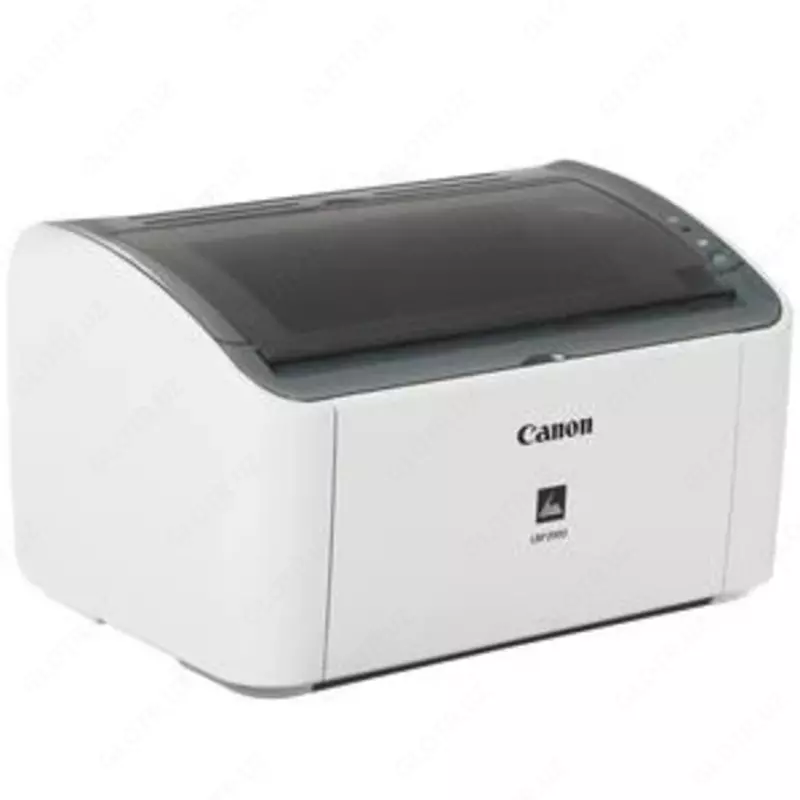  Принтер Canon 2900 - 