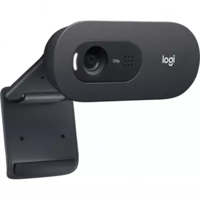 Веб камера Logitech C505e