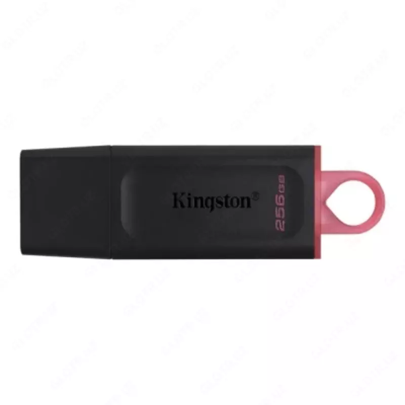 Флешка Kingston DTX 256 GB USB 3.2